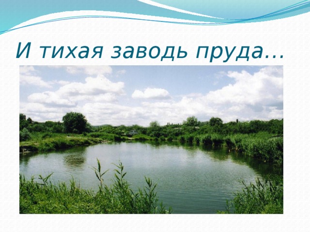И тихая заводь пруда… 