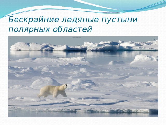 Бескрайние ледяные пустыни полярных областей 