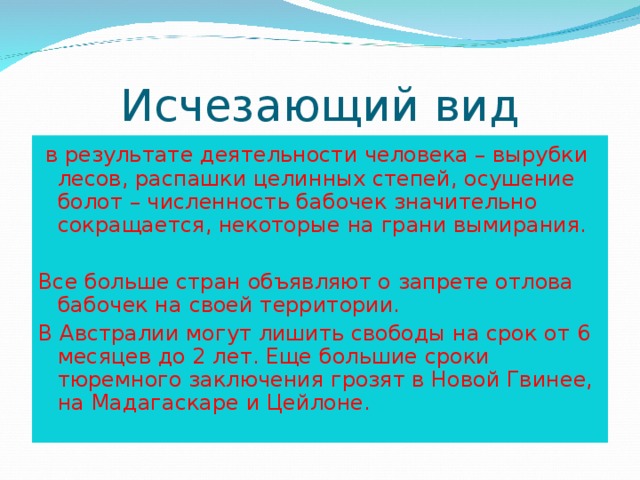 Исчезающий вид  в результате деятельности человека – вырубки лесов, распашки целинных степей, осушение болот – численность бабочек значительно сокращается, некоторые на грани вымирания. Все больше стран объявляют о запрете отлова бабочек на своей территории. В Австралии могут лишить свободы на срок от 6 месяцев до 2 лет. Еще большие сроки тюремного заключения грозят в Новой Гвинее, на Мадагаскаре и Цейлоне. 