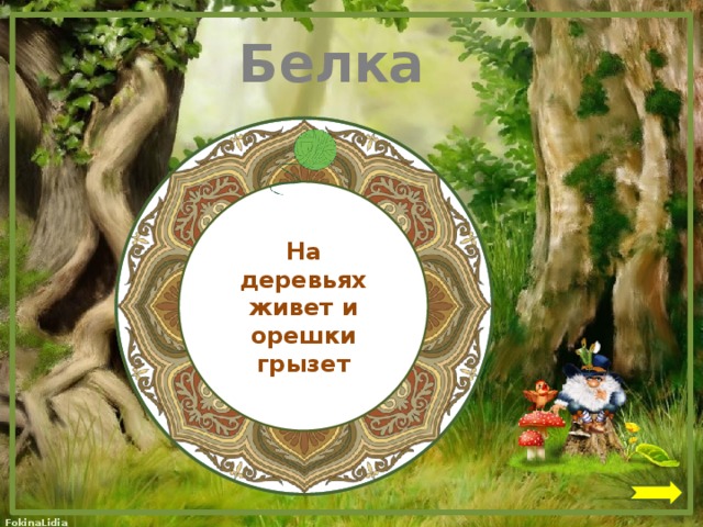 Белка  На деревьях живет и орешки грызет 