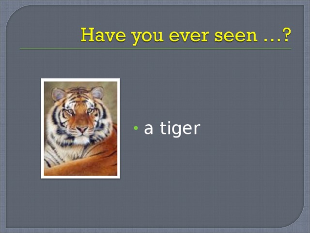 a tiger 