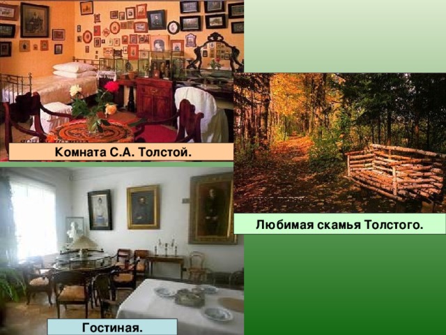 Комната С.А. Толстой. Любимая скамья Толстого. Гостиная. 