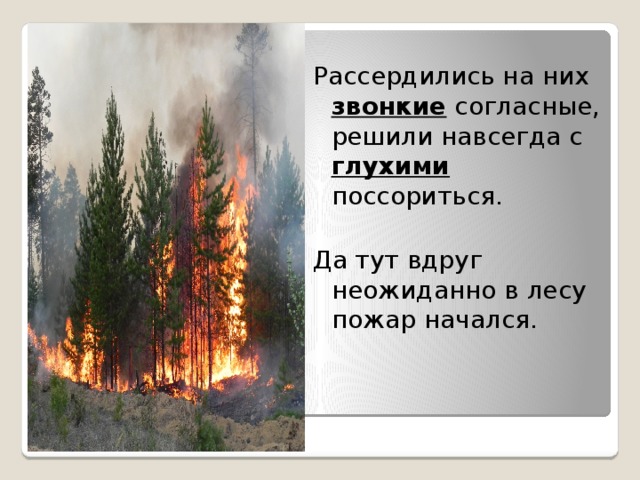 Рассердились на них звонкие согласные, решили навсегда с глухими поссориться. Да тут вдруг неожиданно в лесу пожар начался. 