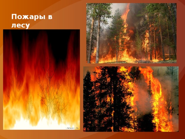 Пожары в лесу 