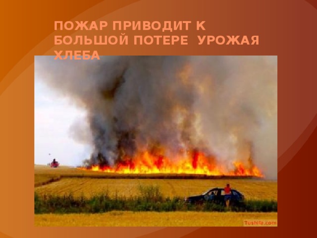 Пожар приводит к большой потере урожая хлеба 