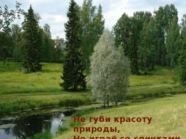 Не губи красоту природы, Не играй со спичками 