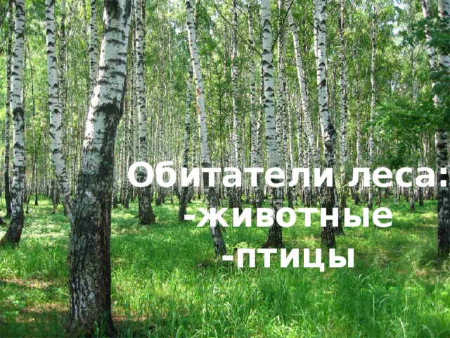 Обитатели леса: -животные -птицы  
