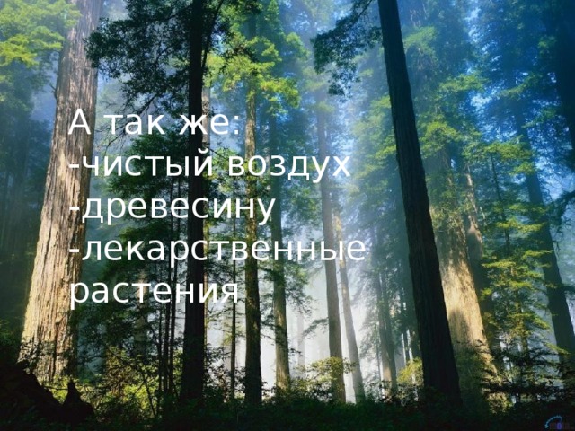 А так же: -чистый воздух -древесину -лекарственные растения 