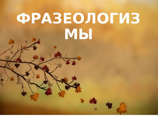 ФРАЗЕОЛОГИЗМЫ  