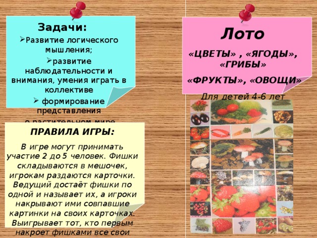  Задачи: Развитие логического мышления; развитие наблюдательности и внимания, умения играть в коллективе  формирование представления  о растительном мире  Лото «ЦВЕТЫ» , «ЯГОДЫ», «ГРИБЫ»  «ФРУКТЫ», «ОВОЩИ» Для детей 4-6 лет ПРАВИЛА ИГРЫ: В игре могут принимать участие 2 до 5 человек. Фишки складываются в мешочек, игрокам раздаются карточки. Ведущий достаёт фишки по одной и называет их, а игроки накрывают ими совпавшие картинки на своих карточках. Выигрывает тот, кто первым накроет фишками все свои картинки. 