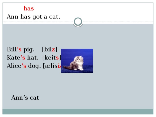  has Ann has got a cat. Bill ’s pig. [bil z ] Kate ’s hat. [keit s ] Alice ’s dog. [ælis iz ]  Ann’s cat 