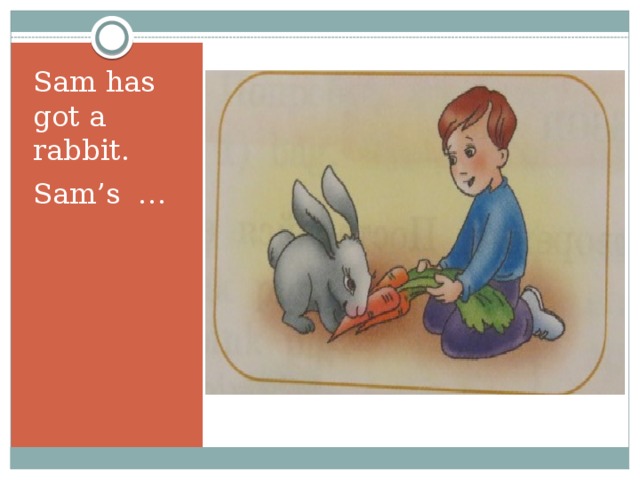 Sam has got a rabbit. Sam’s … 