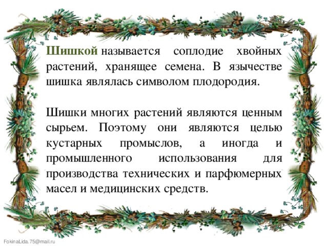 Шишкой   называется соплодие хвойных растений, хранящее семена. В язычестве шишка являлась символом плодородия. Шишки многих растений являются ценным сырьем. Поэтому они являются целью кустарных промыслов, а иногда и промышленного использования для производства технических и парфюмерных масел и медицинских средств. 