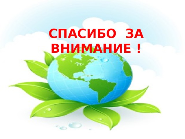 СПАСИБО ЗА ВНИМАНИЕ ! 