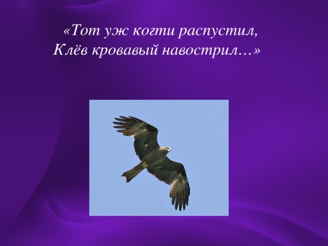  «Тот уж когти распустил,  Клёв кровавый навострил…»  