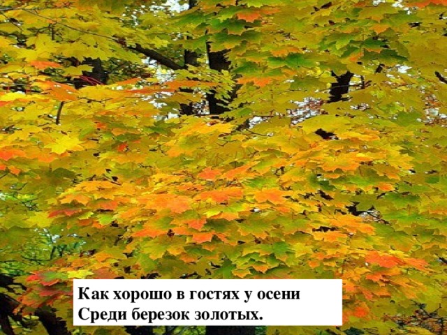 Закружилась листва золотая В розоватой воде на пруду...