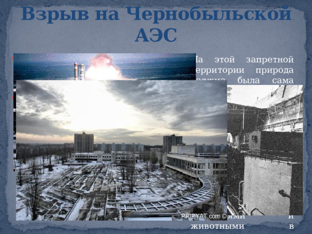 ЭКОЛОГИЧЕСКАЯ КАТАСТРОФА Экологическая катастрофа – это комплекс изменений в экологической системе, которые ведут к ее исчезновению. 4 октября 2010 на западе Венгрии произошла крупная экологическая катастрофа. На крупном заводе по производству алюминия взрыв разрушил плотину резервуара с ядовитыми отходами — так называемым красным шламом. Около 1,1 миллиона кубометров едкого вещества затопили 3-метровым потоком города Колонтар и Дечевер в 160 километрах к западу от Будапешта. При катастрофе нарушается одновременно большое колличество взаимосвязей, прекращает функционировать системообразующий фактор, и система, как таковая, перестает существовать. 