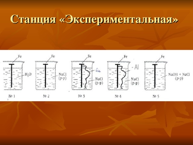 Станция «Экспериментальная» 
