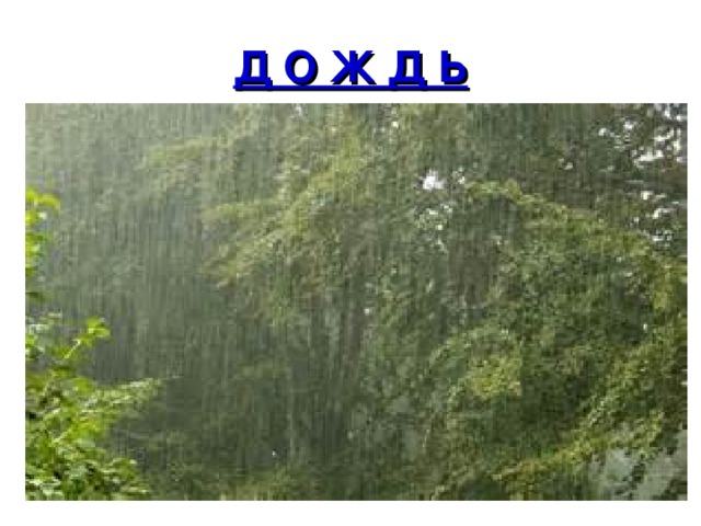 Д О Ж Д Ь 