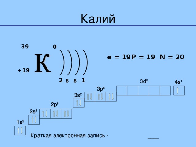  0 39  P = 19  N  = 20  e = 19 + 19 1 2 3 d 0 8 8 4 s 1 4 s 1 3 p 6 3 p 6 3 s 2 3 s 2 2 p 6 2 p 6 2 s 2 2 s 2 1 s 2 1 s 2 Краткая электронная запись - 