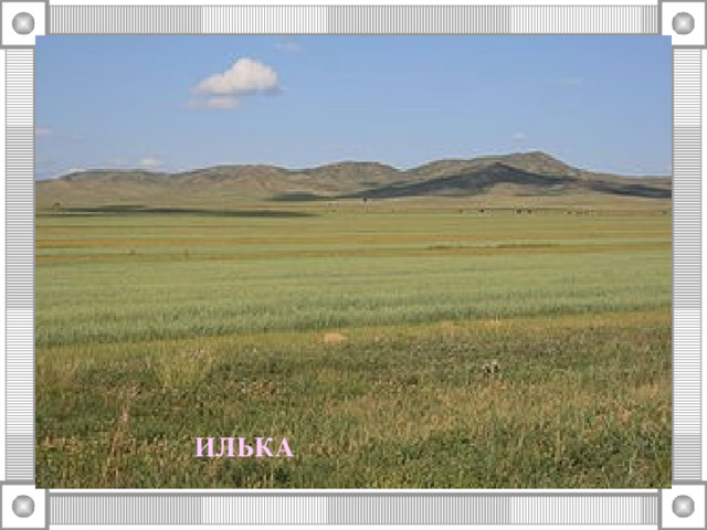 ИЛЬКА 