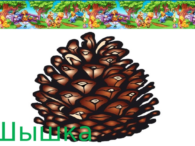 Шышка 