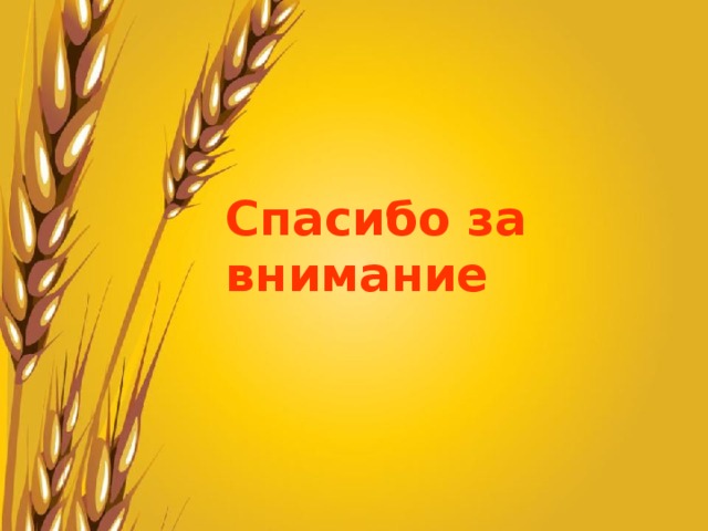 Спасибо за внимание 