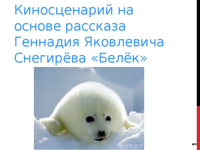  Киносценарий на основе рассказа Геннадия Яковлевича Снегирёва «Белёк» 