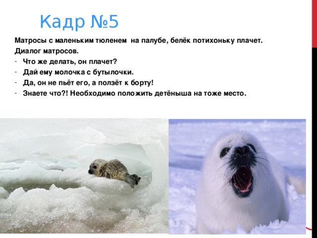  Кадр №5 Матросы с маленьким тюленем на палубе, белёк потихоньку плачет. Диалог матросов. Что же делать, он плачет? Дай ему молочка с бутылочки. Да, он не пьёт его, а ползёт к борту! Знаете что?! Необходимо положить детёныша на тоже место.   