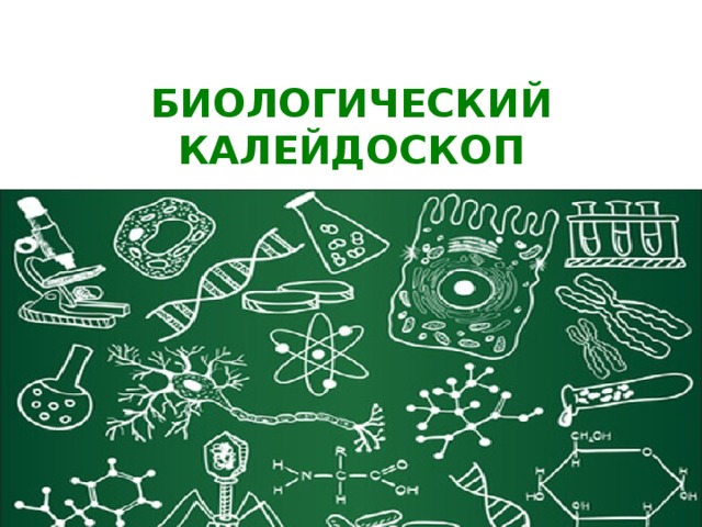 БИОЛОГИЧЕСКИЙ КАЛЕЙДОСКОП 