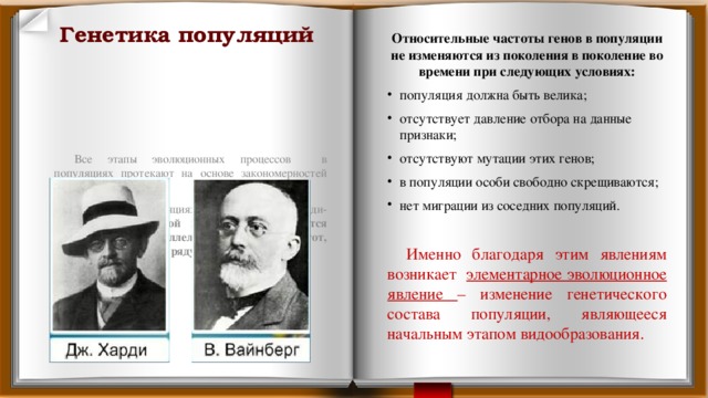 Генетика популяций Относительные частоты генов в популяции не изменяются из поколения в поколение во времени при следующих условиях: популяция должна быть велика; отсутствует давление отбора на данные признаки; отсутствуют мутации этих генов; в популяции особи свободно скрещиваются; нет миграции из соседних популяций. Именно благодаря этим явлениям возникает элементарное эволюционное явление – изменение генетического состава популяции, являющееся начальным этапом видообразования. Все этапы эволюционных процессов в популяциях протекают на основе закономерностей наследования. В больших популяциях действует закон Харди-Вайнберга: в большой популяции наблюдается постоянство частот аллелей, гомо – и гетерозигот, и оно не изменяется в ряду поколений. 