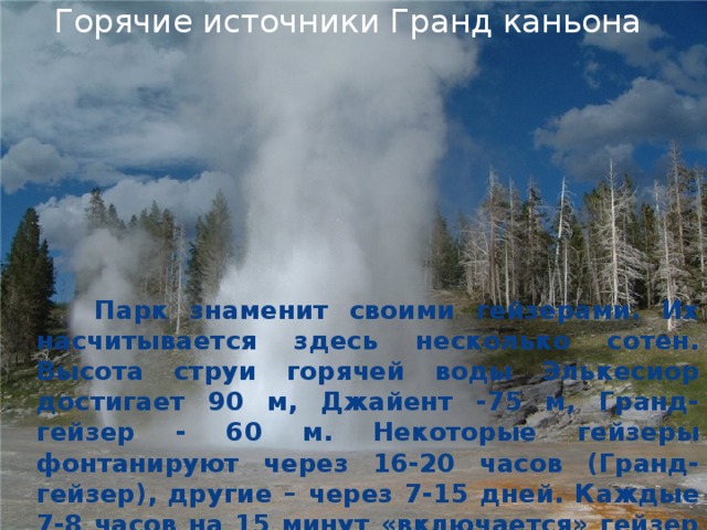  Горячие источники Гранд каньона  Парк знаменит своими гейзерами. Их насчитывается здесь несколько сотен. Высота струи горячей воды Элькесиор достигает 90 м, Джайент -75 м, Гранд-гейзер - 60 м. Некоторые гейзеры фонтанируют через 16-20 часов (Гранд-гейзер), другие – через 7-15 дней. Каждые 7-8 часов на 15 минут «включается» гейзер Риверсайд. У некоторых гейзеров от одного извержения до другого проходят месяцы и даже годы. 