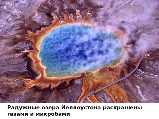 Радужные озера Йеллоустона раскрашены газами и микробами . 