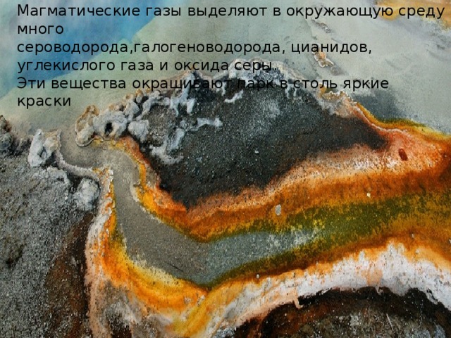 Магматические газы выделяют в окружающую среду много сероводорода,галогеноводорода, цианидов, углекислого газа и оксида серы. Эти вещества окрашивают парк в столь яркие краски 