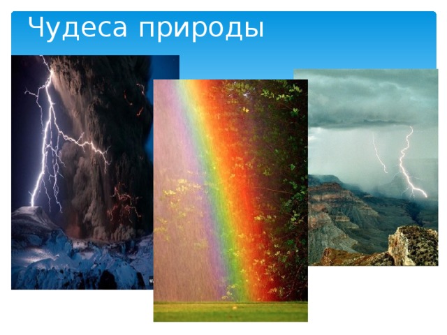 Чудеса природы 