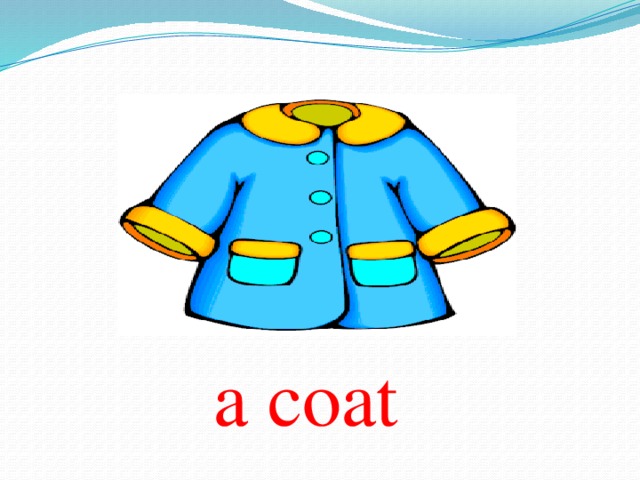 a coat 