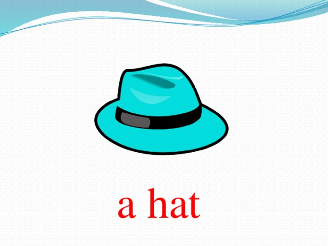 a hat 