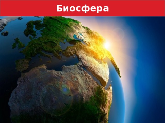 Биосфера  