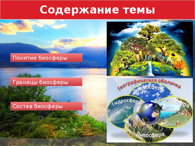 Содержание темы Понятие биосферы Границы биосферы Состав биосферы  