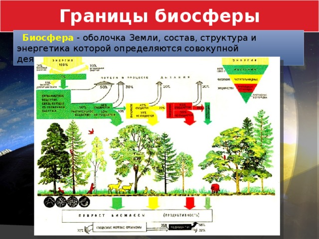 Границы биосферы  Биосфера  - оболочка Земли, состав, структура и энергетика которой определяются совокупной деятельностью живых организмов. 