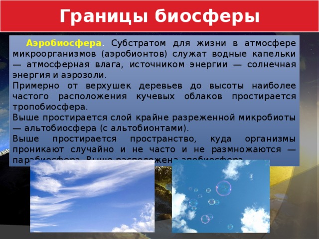 Границы биосферы  Аэробиосфера . Субстратом для жизни в атмосфере микроорганизмов (аэробионтов) служат водные капельки — атмосферная влага, источником энергии — солнечная энергия и аэрозоли. Примерно от верхушек деревьев до высоты наиболее частого расположения кучевых облаков простирается тропобиосфера. Выше простирается слой крайне разреженной микробиоты — альтобиосфера (с альтобионтами). Выше простирается пространство, куда организмы проникают случайно и не часто и не размножаются — парабиосфера. Выше расположена апобиосфера. 