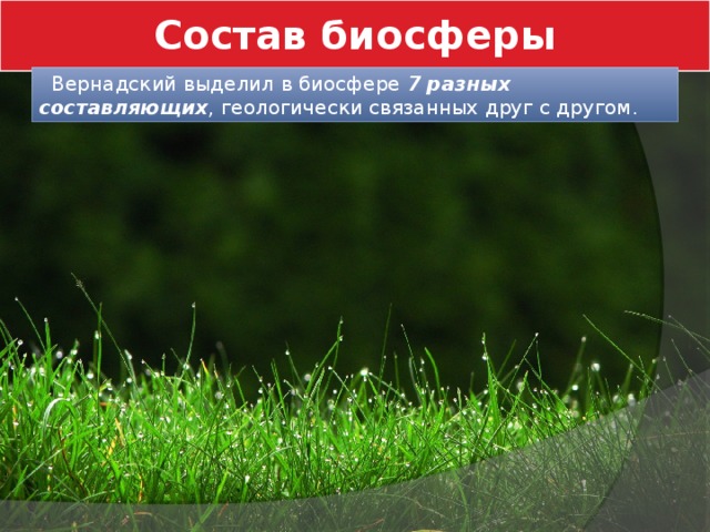 Состав биосферы  Вернадский выделил в биосфере 7 разных составляющих , геологически связанных друг с другом.  