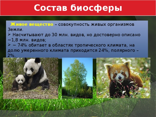 Состав биосферы  Живое вещество – совокупность живых организмов Земли.  Насчитывают до 30 млн. видов, но достоверно описано ~1,8 млн. видов;  ~ 74% обитает в областях тропического климата, на долю умеренного климата приходится 24%, полярного – 2%. 