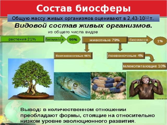 Состав биосферы  Общую массу живых организмов оценивают в 2,43·10 12 т. 