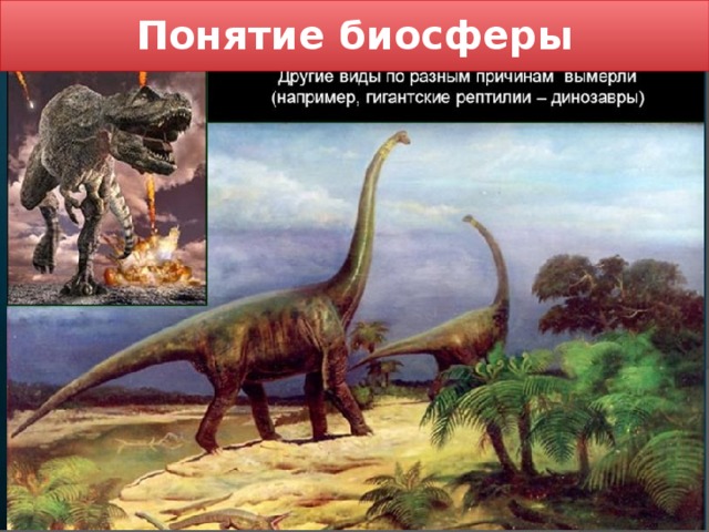 Понятие биосферы 