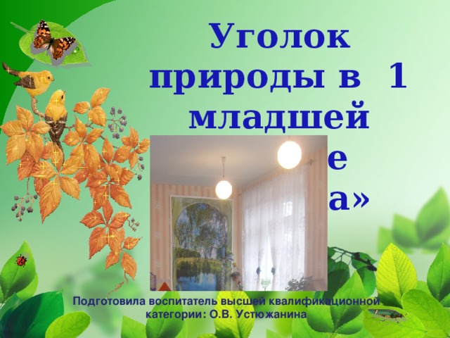 Уголок природы в 1 младшей группе «Сказка» Подготовила воспитатель высшей квалификационной категории: О.В. Устюжанина 
