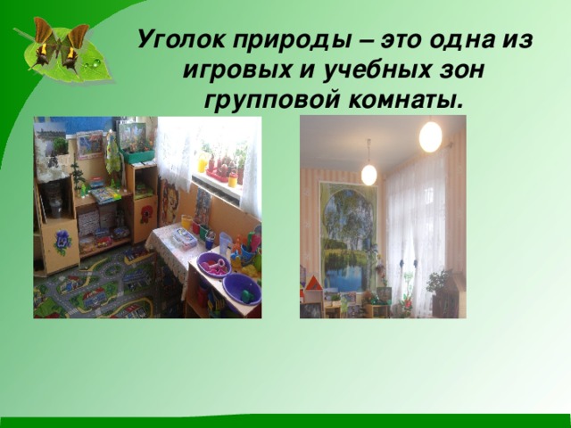 Уголок природы – это одна из игровых и учебных зон групповой комнаты.    