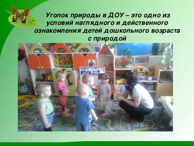  Уголок природы в ДОУ – это одно из условий наглядного и действенного ознакомления детей дошкольного возраста с природой 