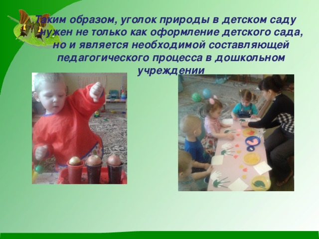 Таким образом, уголок природы в детском саду нужен не только как оформление детского сада, но и является необходимой составляющей педагогического процесса в дошкольном учреждении 