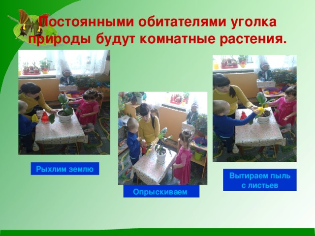 Постоянными обитателями уголка природы будут комнатные растения. Рыхлим землю Вытираем пыль с листьев Опрыскиваем 